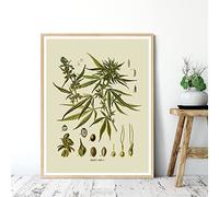 iYoucase Cucina arte Decorazioni botanica parete arte poster stampe erbe aromatiche spezie vintage tela Quadri Quadro erbario casa parete Decorazioni 50x70 cm senza cornice
