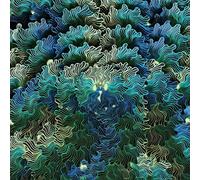 Ngo Ma - Izangoma (Audio CD)