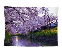 izielad Fiori di Ciliegio Fiume Tokyo Giappone Ciliegio in Fiore Tokyo Fiume Tunnel Primavera Natura Viaggio Albero Arazzo Decorativo Arazzo Appeso a Parete per Soggiorno Camera da Letto 73X95CM