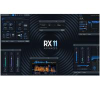 iZotope RX 11 Advanced EDU