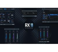 iZotope RX 11 Standard EDU