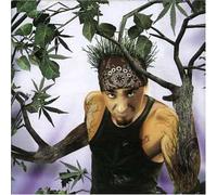 J.Ax (Articolo 31) - Di Sana Pianta