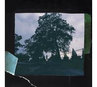 J. Cole 4 Your Eyez Only (Vinyl LP) 12" Album