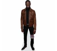 J Hus mini formato