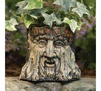 J. R.r. Tolkien Saggio Vecchio Uomo Albero Viso 2 IN 1 Giardino Fioriera Statua