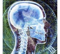 J21 - Beyond The Holographic Veil