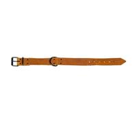 JACK AND VANILLA - Collare Grande per Cani Black Label - per Cani di Taglia Piccola, Media e Grande - Regolabile, Resistente, Chiusura Efficace - Colore Cognac, Misura 40 mm x 50 cm