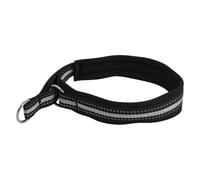 JACK AND VANILLA, Collare in Nylon Resistente per Cani, Design Elegante e Regolabile, Facile da Pulire, Sicurezza Rinforzata, 50 cm, Nero, per Tutte Le Razze, Modello Esterno