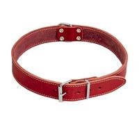JACK AND VANILLA, Collare per Cane, Modello Pelle Grassa, Colore Rosso, Misura 30 mm x 65 cm