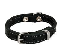 JACK AND VANILLA - Collare per Cani in Pelle grassa - Materiale Resistente, Facile da Mantenere, Morbido e Piacevole al Tatto - Look Moderno - Colore Nero, Misura 25 mm x 55 cm