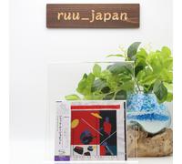 JACK DEJOHNETTE-REALTÀ PARALLELE-JAPAN SHM-CD Nuovo