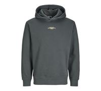 Jack & Jones Jcoalpha Mountain Print Sweat Hood Felpa con Cappuccio da Uomo, Urban Chic, M