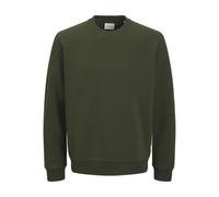 Jack & Jones Jjebradley Sweat Crew Noos Pls - Plus Size