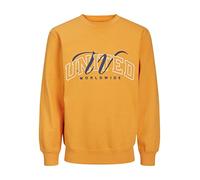 JACK & JONES Jorbrink Studio Sweat Crew Neck Maglia di Tuta, Iceland Poppy, M Uomo