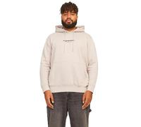 Jack & Jones Jorvesterbro Sweat Hood Noos Felpa con Cappuccio, Raggio di Luna, M Uomo