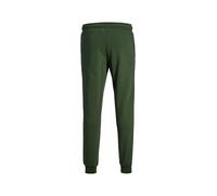 JACK & JONES Jpstgordon Jjnewsoft Sweat Pant Bex Noos Pantaloni da Jogging, Mountain View, M Uomo