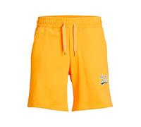 JACK & JONES JPSTTREVOR Sweat Shorts GMS Pantaloncini della Tuta, Iceland Poppy, L Uomo