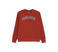 Jack & Jones Junior Felpa 'JJECALEB' ruggine / nero / bianco Bambini Jack & Jones Junior 164 ruggine / nero / bianco