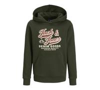 Jack & Jones Junior Felpa 'JJELOGO' beige / verde / bianco Bambini Jack & Jones Junior 176 beige / verde / bianco