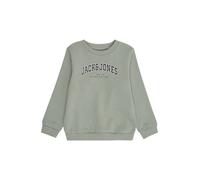 JACK & JONES MINI Felpa 'JJECALEB' verde pastello / nero / bianco Bambini JACK & JONES MINI 116 verde pastello / nero / bianco