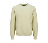 JACK & JONES MINI Felpa 'JORVESTERBRO' verde pastello / bianco Bambini JACK & JONES MINI 110 verde pastello / bianco