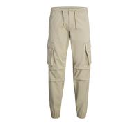 JACK & JONES Pantaloni cargo 'Kane Noah' grigio Uomo JACK & JONES 29-30 grigio