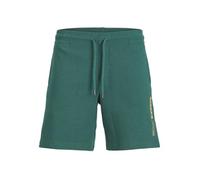 Jack & Jones Plus JPSTNEO - Pantaloncini da Uomo, Taglia 44, Colore: Tempesta, Tempesta, 44 Plus