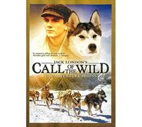 Jack London's Call Of The Wild The Adventure Begins