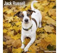 Jack Russell 2025 Square Wall Calendar | Dog Breed Calendar