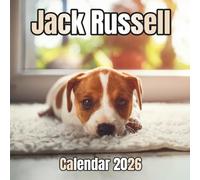 Jack Russell Calendar 2026: 14-Month Organizer from Nov 2025 to Dec 2026 | Perfect for Home, Office, School & Family Scheduling, For Men , Women , Girls , Boys