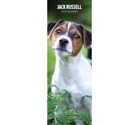 Jack Russell, calendario sottile 2027