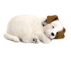 Jack Russell - Il cucciolo che respira - PERFECT PETZZZ
