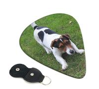 Jack Russell, plettri per chitarra elettrica e acustica, 6 pezzi, con stampa a forma di cane, per basso, chitarre acustiche, ukulele, sottili, medi, spessori, 0,46 mm