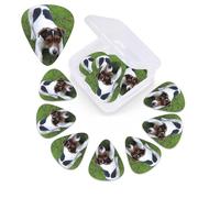 Jack Russell, plettro per chitarra con stampa di cane, confezione da 12 pezzi, con custodia, plettri per chitarra, 0,46 mm, 0,96 mm, 0,71 mm, accessori per chitarra per basso, chitarre acustiche