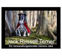 Jack Russell Terrier.....Ein Verwandlungskünstler namens Jake (Tischkalender 2026 DIN A5 quer), CALVENDO Monatskalender: Monatskalender mit einem Jack Russell