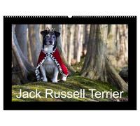Jack Russell Terrier.....Ein Verwandlungskünstler namens Jake (Wandkalender 2026 DIN A2 quer), CALVENDO Monatskalender: Monatskalender mit einem Jack Russell