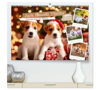 Jack Russell Terrier - Energie auf vier Pfoten (hochwertiger Premium Wandkalender 2027 DIN A2 quer), Kunstdruck in Hochglanz: Kleine Hunde mit großer Persönlichkeit