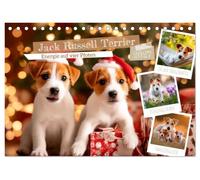 Jack Russell Terrier - Energie auf vier Pfoten (Tischkalender 2027 DIN A5 quer), CALVENDO Monatskalender: Kleine Hunde mit großer Persönlichkeit