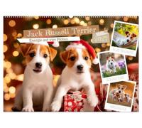 Jack Russell Terrier - Energie auf vier Pfoten (Wandkalender 2027 DIN A2 quer), CALVENDO Monatskalender: Kleine Hunde mit großer Persönlichkeit