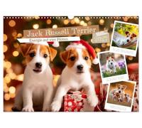 Jack Russell Terrier - Energie auf vier Pfoten (Wandkalender 2027 DIN A3 quer), CALVENDO Monatskalender: Kleine Hunde mit großer Persönlichkeit