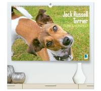 Jack Russell Terrier: flink und verspielt (hochwertiger Premium Wandkalender 2026 DIN A2 quer), Kunstdruck in Hochglanz: Jack Russell Terrier: Perfekte Sport- und Aktivitätspartner