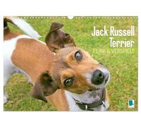 Jack Russell Terrier: flink und verspielt (Wandkalender 2026 DIN A3 quer), CALVENDO Monatskalender: Jack Russell Terrier: Perfekte Sport- und Aktivitätspartner