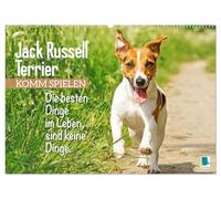 Jack Russell Terrier: Komm spielen (Wandkalender 2026 DIN A2 quer), CALVENDO Monatskalender: Die besten Dinge im Leben, sind keine Dinge: Jack Russell Terrier