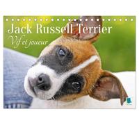 Jack Russell Terrier : vif et joueur (Calendrier de bureau 2027 DIN A5 vertical), CALVENDO calendrier mensuel: Jack Russell Terrier : le compagnon idéal pour le sport et les activités physiques