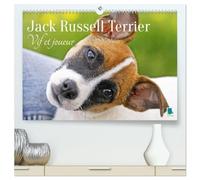 Jack Russell Terrier : vif et joueur (Calendrier mural 2026 DIN A2 vertical) calendrier de bureau: Jack Russell Terrier : le compagnon idéal pour le sport et les activités physiques