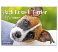 Jack Russell Terrier : vif et joueur (Calendrier mural 2027 DIN A2 vertical), CALVENDO calendrier mensuel: Jack Russell Terrier : le compagnon idéal pour le sport et les activités physiques