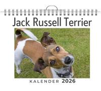 Jack Russell Terrier: (Wandkalender 2026, Kalender DIN A4 quer, Monatskalender im Querformat mit Kalendarium, das perfekte Geschenk)