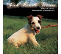 Jack Russell Terriers - (2010)