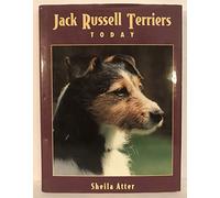 Jack Russell Terriers Today