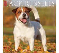 Jack Russells 2027 Wall